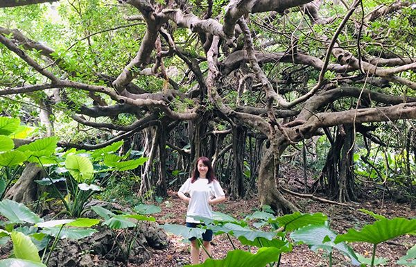 海・山・川・滝！でアラカルトな石垣冒険1日ツアー